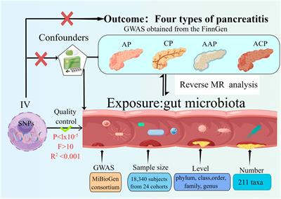 Causal link between gut microbiota and four types of pancreatitis: a genetic association and bidirectional Mendelian randomization study